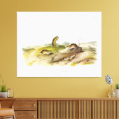 Jumping Mouse, oder Meadow Jumping Mouse, von Audu Leinwanddruck (Insitu (Wohnzimmer))