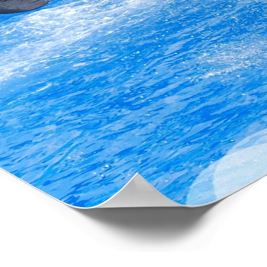 Jumping Orca Whale Poster (Ecke)