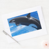 Jumping Orca Whale Rechteckiger Aufkleber (Umschlag)