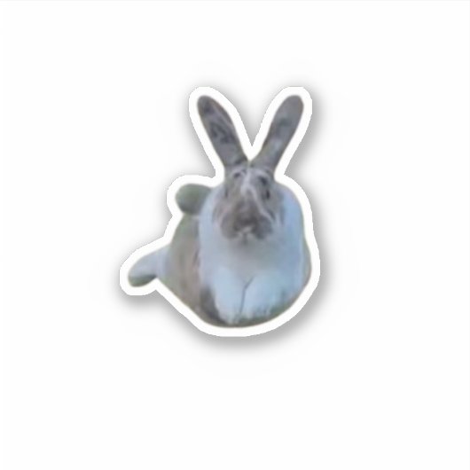 Jumping Paddy Aufkleber (Vorderseite)