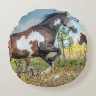 Jumping Pinto Paint Stallion auf einer Pferderasse Rundes Kissen