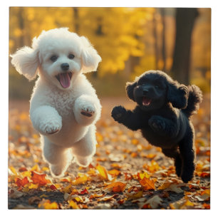 Jumping Poodle Puppies Fliese