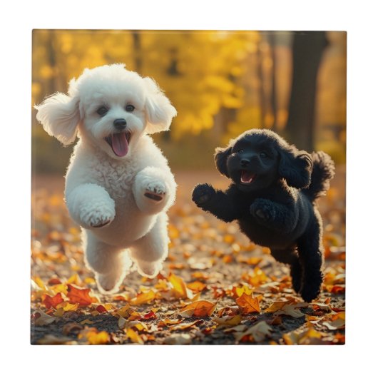 Jumping Poodle Puppies Fliese (Vorderseite)