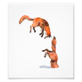 Jumping Red Fox Fotodruck (Vorne)