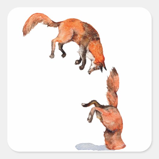 Jumping Red Fox Quadratischer Aufkleber (Vorderseite)