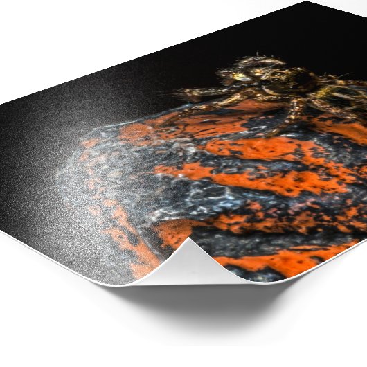 Jumping Spider mit Blick auf den Himmel Fotodruck (Ecke)