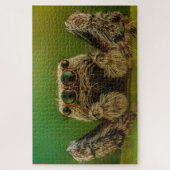 Jumping Spider Puzzle (Vertikal)