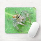 Jumping Spider Salticid Mousepad (Mit Mouse)