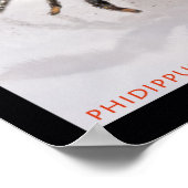 Jumping Spider Set Poster (Ecke)