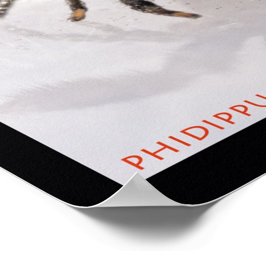 Jumping Spider Set Poster (Ecke)