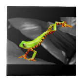 Jumping Tree Frog Fliese (Vorderseite)