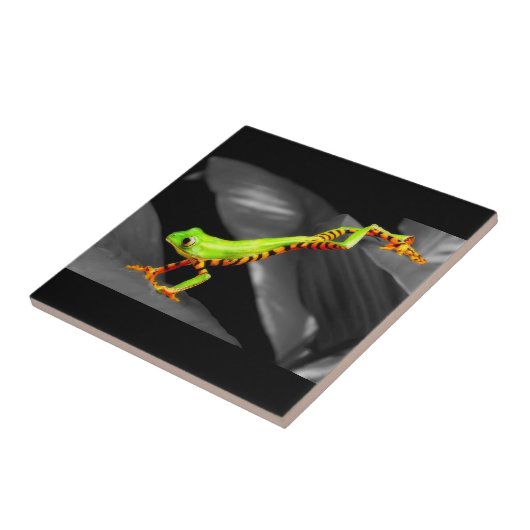 Jumping Tree Frog Fliese (Seite)