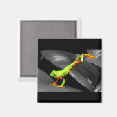 Jumping Tree Frog Magnet (Vorderseite/Rückseite)