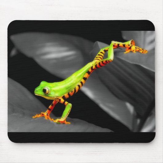 Jumping Tree Frog Mousepad (Vorne)