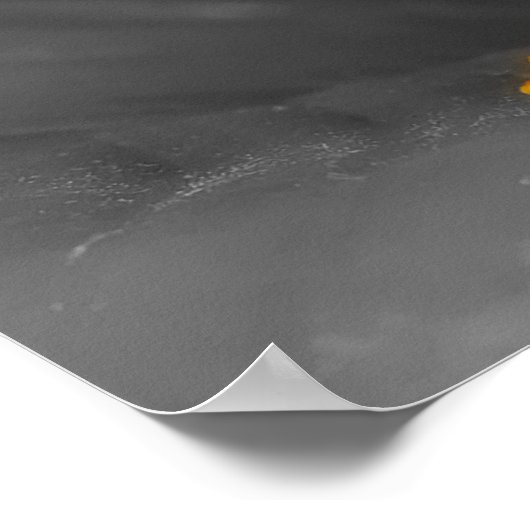 Jumping Tree Frog Poster (Ecke)