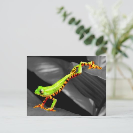Jumping Tree Frog Postkarte (Stehend Vorderseite)