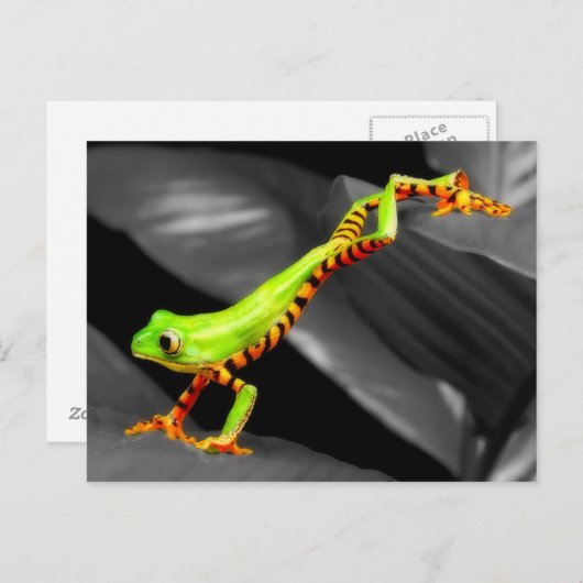 Jumping Tree Frog Postkarte (Vorne/Hinten)