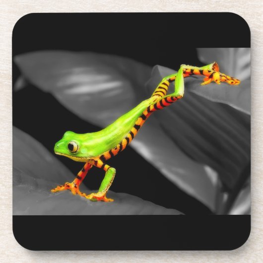Jumping Tree Frog Untersetzer (Vorderseite)