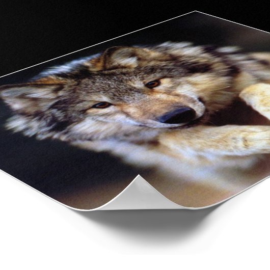 Jumping Wolf Poster (Ecke)