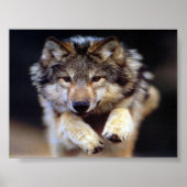 Jumping Wolf Poster (Vorne)
