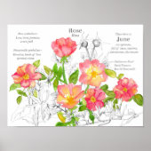 Jun Birthday Wild Rose Honeysuckle Blume Poster (Vorne)