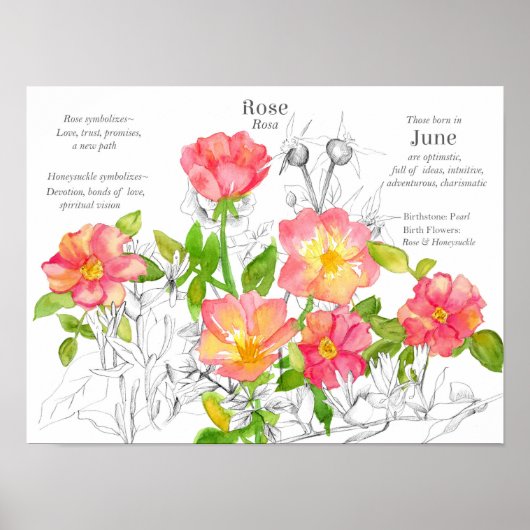 Jun Birthday Wild Rose Honeysuckle Blume Poster (Vorne)