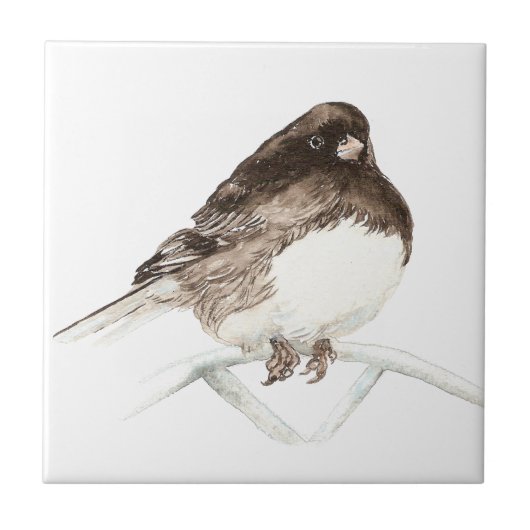 Junco Bird Art Fliese (Vorderseite)