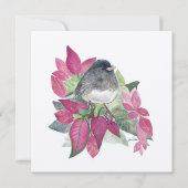 Junco Bird Blume (Vorderseite)