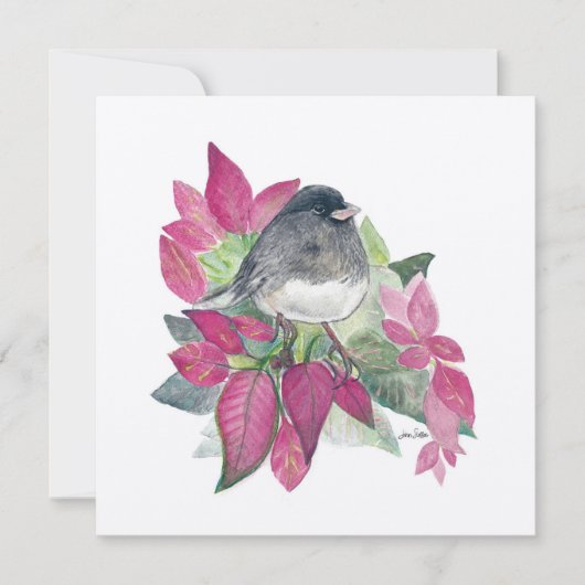 Junco Bird Blume (Vorderseite)
