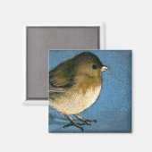 JUNCO BIRD ZEICHNEND MAGNET (Vorderseite/Rückseite)