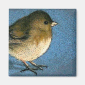 JUNCO BIRD ZEICHNEND MAGNET (Vorne)