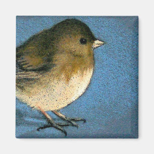 JUNCO BIRD ZEICHNEND MAGNET