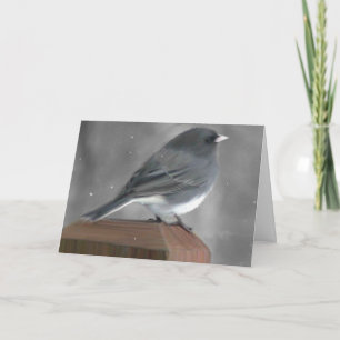 Junco Christmas Card Feiertagskarte