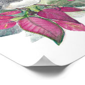 Junco Dark Mit Augen Bird Watercolor Art Print Poster (Ecke)