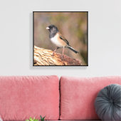 Junco Leinwanddruck (Insitu (Wohnzimmer))