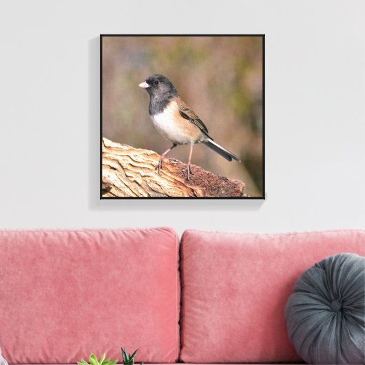 Junco Leinwanddruck (Insitu (Wohnzimmer))