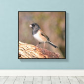 Junco Leinwanddruck (Insitu (Holzboden))