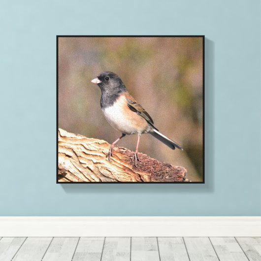 Junco Leinwanddruck (Insitu (Holzboden))