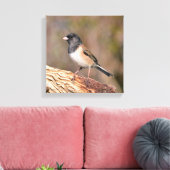 Junco Leinwanddruck (Insitu (Wohnzimmer))