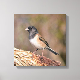 Junco Leinwanddruck