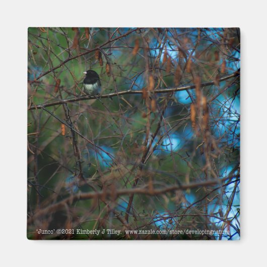 Junco Magnet (Vorne)