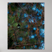 Junco Poster (Vorne)
