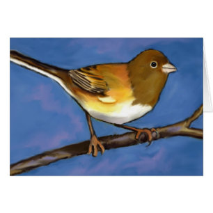Junco: Vogel: Tier-Kunst: Malen