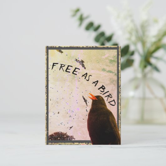 Junction Card Nr. 16: Frei als Vogel Postkarte (Stehend Vorderseite)