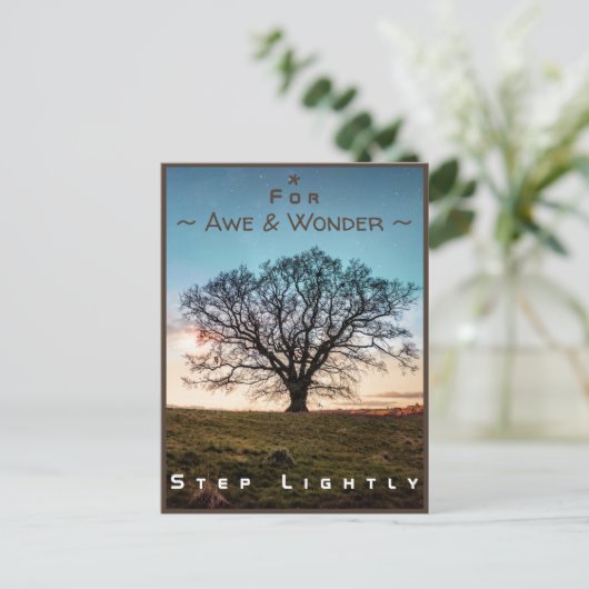 Junction Card Nr. 43a: Step Lightly (Old Oak Tree) Postkarte (Stehend Vorderseite)