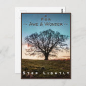 Junction Card Nr. 43a: Step Lightly (Old Oak Tree) Postkarte (Vorne/Hinten)