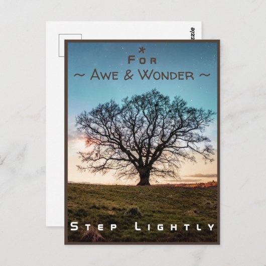 Junction Card Nr. 43a: Step Lightly (Old Oak Tree) Postkarte (Vorne/Hinten)