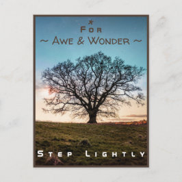 Junction Card Nr. 43a: Step Lightly (Old Oak Tree) Postkarte