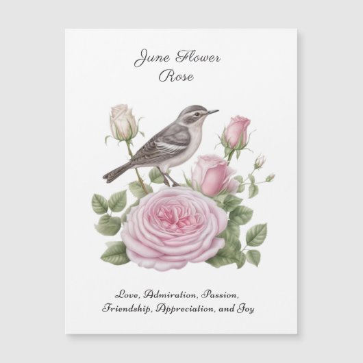 June Birth Month Blume Rose Elegante Magnetkarte (Vorderseite)