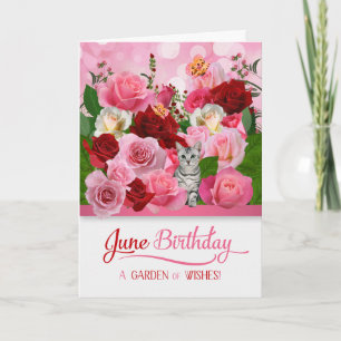 June Birthday Kitty in einem Rose Garden Karte